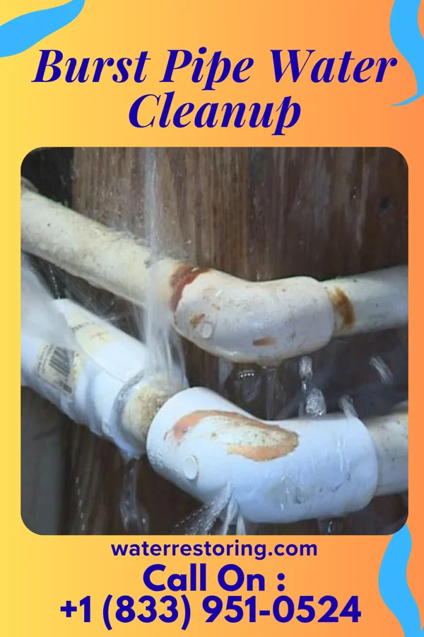 Burst Pipe Water Cleanup in Oak City, NC